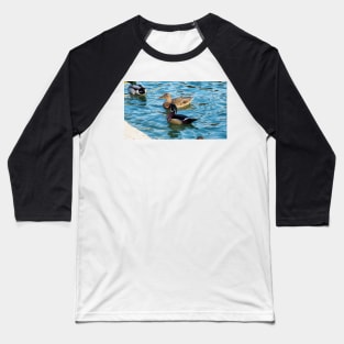 Wood Duck and a Mallard Duck Swimming Together Baseball T-Shirt